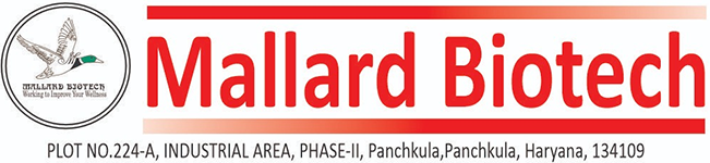 logo-image